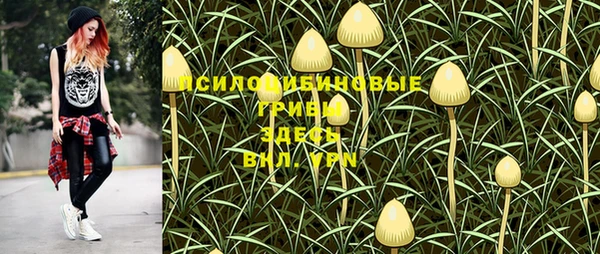 дмт Верхний Тагил