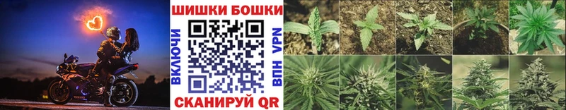 Конопля SATIVA & INDICA  Купить  Богучар 